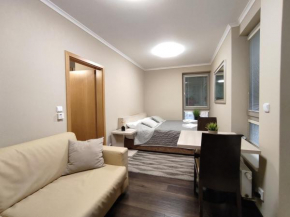 WELLNESS APARTMÁN RESIDENT HARRACHOV (C307) Pokoj 1+KK s velkým balkonem a kuchyňským koutem